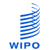 Спецтехника WIPO под заказ. Приобретайте спецтехнику Wipo в лизинг на выгодных условиях.